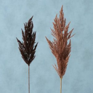 PAMPAS GRASS, ΦΥΤΟ ΣΥΝΘΕΤΙΚΟ PVC ΚΑΦΕ ΣΚΟΥΡΟ L95xW12cm