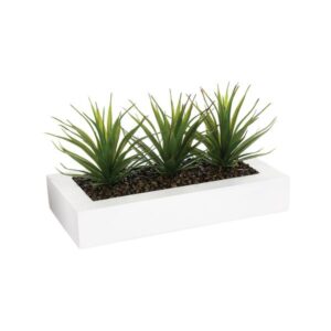 ALOE, ΦΥΤΟ ALOE VERA ΣΕ ΞΥΛΙΝΗ ΛΕΥΚΗ ΒΑΣΗ 35x14.8x17.5cm