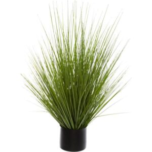 ΦΥΤΟ ΣΕ ΓΛΑΣΤΡΑ, BUNCH HERBE & CAT TAILS, 72x74cm