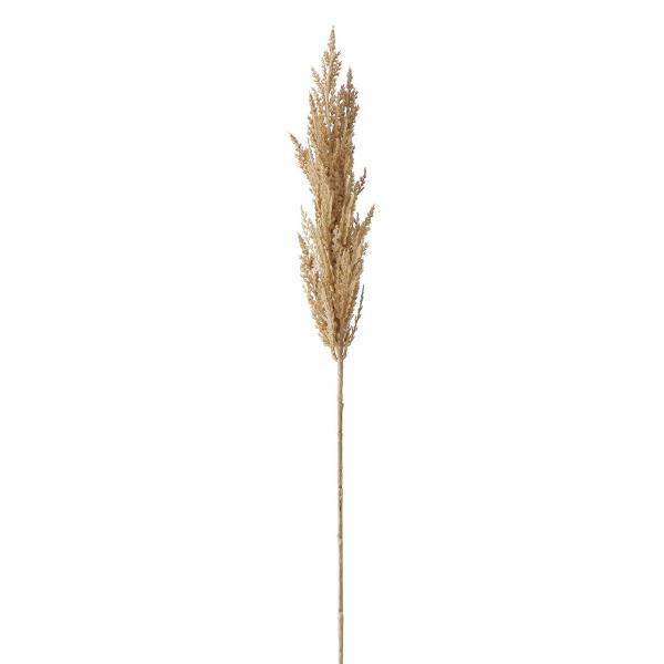 PAMPAS GRASS, ΦΥΤΟ ΣΥΝΘΕΤΙΚΟ PVC ΜΠΕΖ L95xW12cm