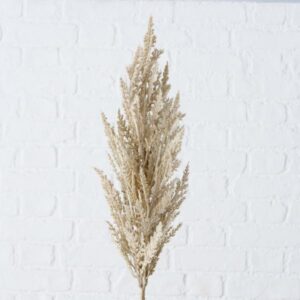 PAMPAS GRASS, ΦΥΤΟ ΣΥΝΘΕΤΙΚΟ PVC ΕΚΡΟΥ L95xW12cm