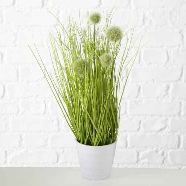 GRASS DANTELION, ΦΥΤΟ ΣΕ ΚΑΣΠΩ H44cm