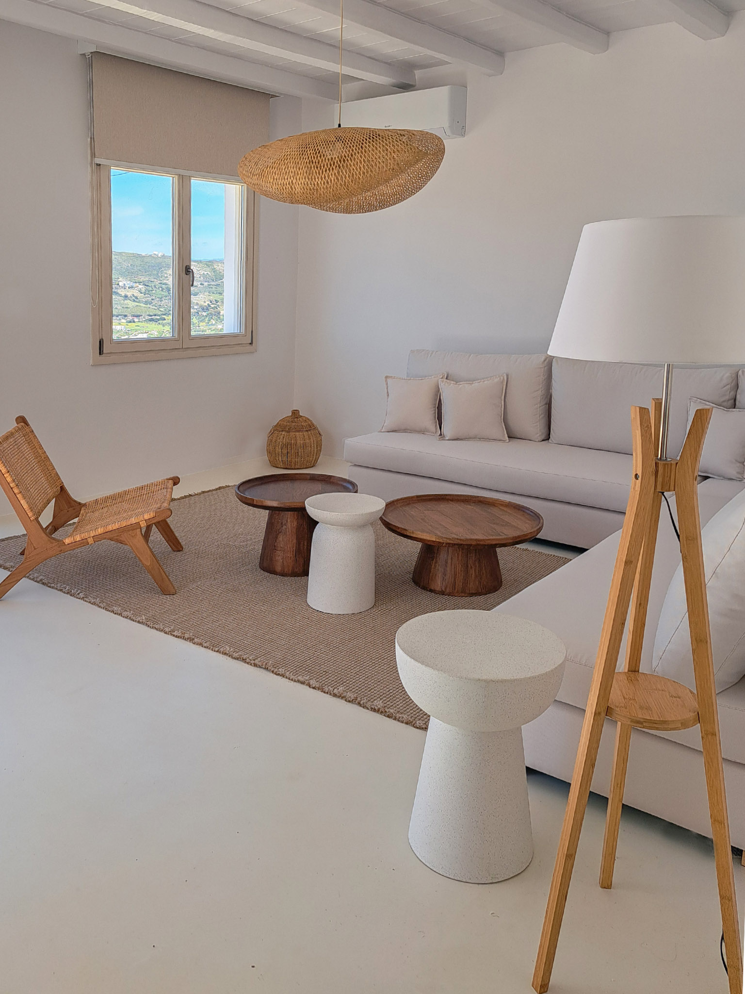 design area 1