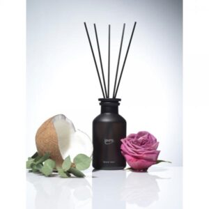 IPURO CLASSIC NOIR ΑΡΩΜΑΤΙΚΟ ΧΩΡΟΥ 240ml