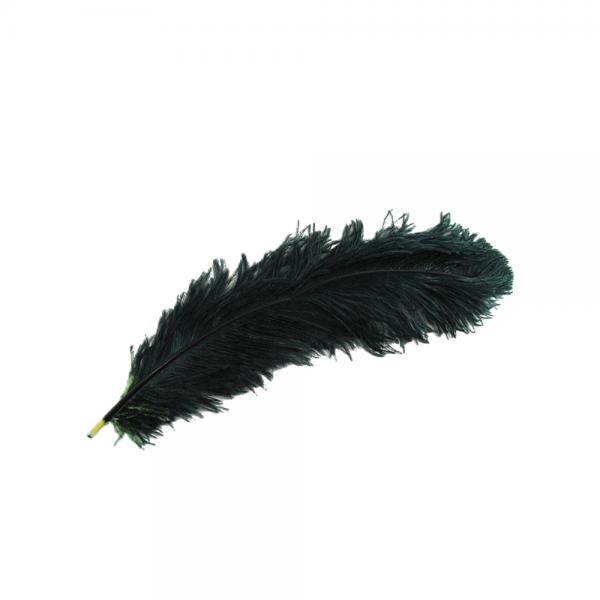 OSTRICH DECO ΦΤΕΡΟ ΦΤΕΡΟ ΠΡΑΣΙΝΟ H60cm