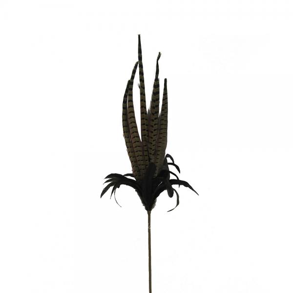 GUINEA DECO ΦΤΕΡΟ ΦΤΕΡΟ ΚΑΦΕ H110cm