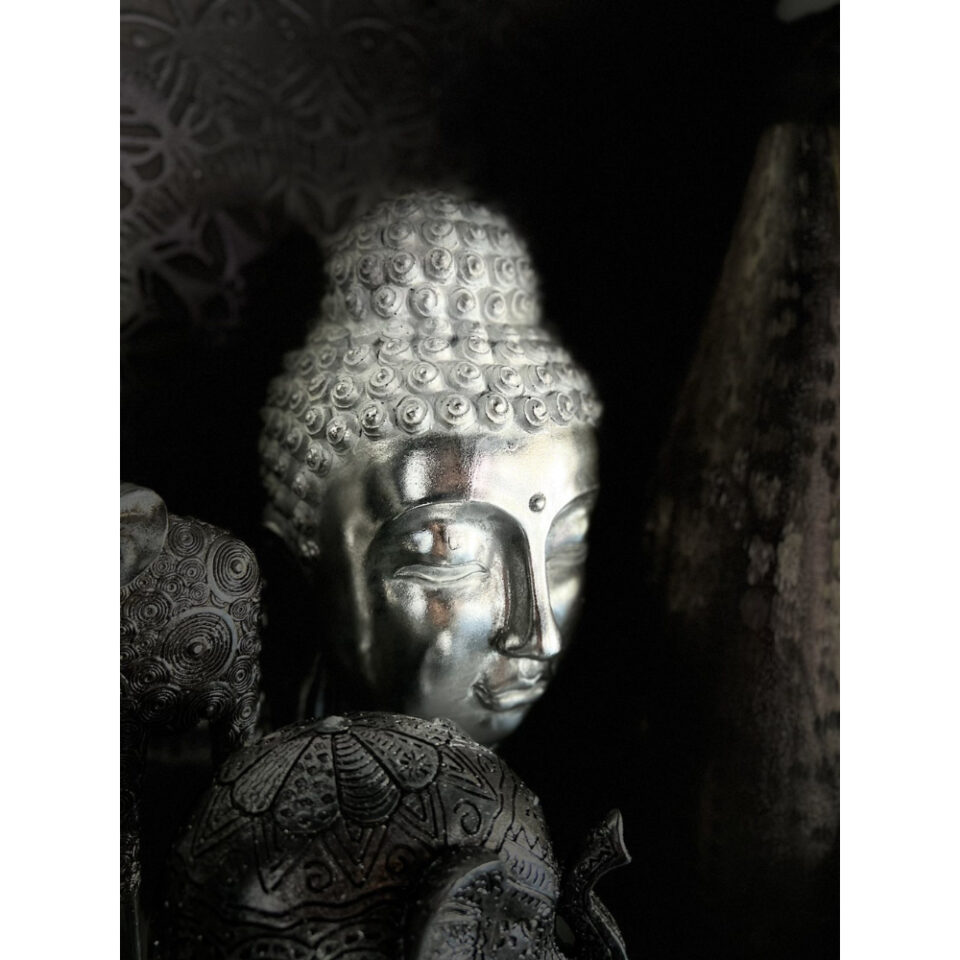 BUDAI ΔΙΑΚΟΣΜΗΤΙΚΟ ΒΟΥΔΑΣ 18x19x42 POLYRESIN ΑΣΗΜΙ