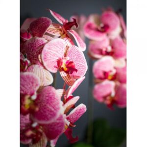 ORCHIDEA 1 ΤΕΧΝΗΤΟ ΦΥΤΟ PEVA ΚΕΡΑΜΙΚΟ ΡΟΖ ΚΙΤΡΙΝΟ 30x11xH63cm