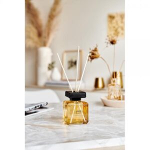 IPURO ESSENTIALS SOFT VANILLA ΑΡΩΜΑΤΙΚΟ ΧΩΡΟΥ ΣΕΤ 2x50ml