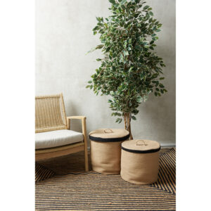 FICUS ΔΕΝΤΡΟ ΤΕΧΝΗΤΟ ΣΕ ΓΛΑΣΤΡΑ 170 POLYESTER ΠΡΑΣΙΝΟ PE/PP