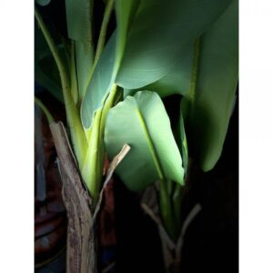 BANANA ΔΕΝΤΡΟ ΤΕΧΝΗΤΟ ΣΕ ΓΛΑΣΤΡΑ 180 PE/PP ΠΡΑΣΙΝΟ PEVA
