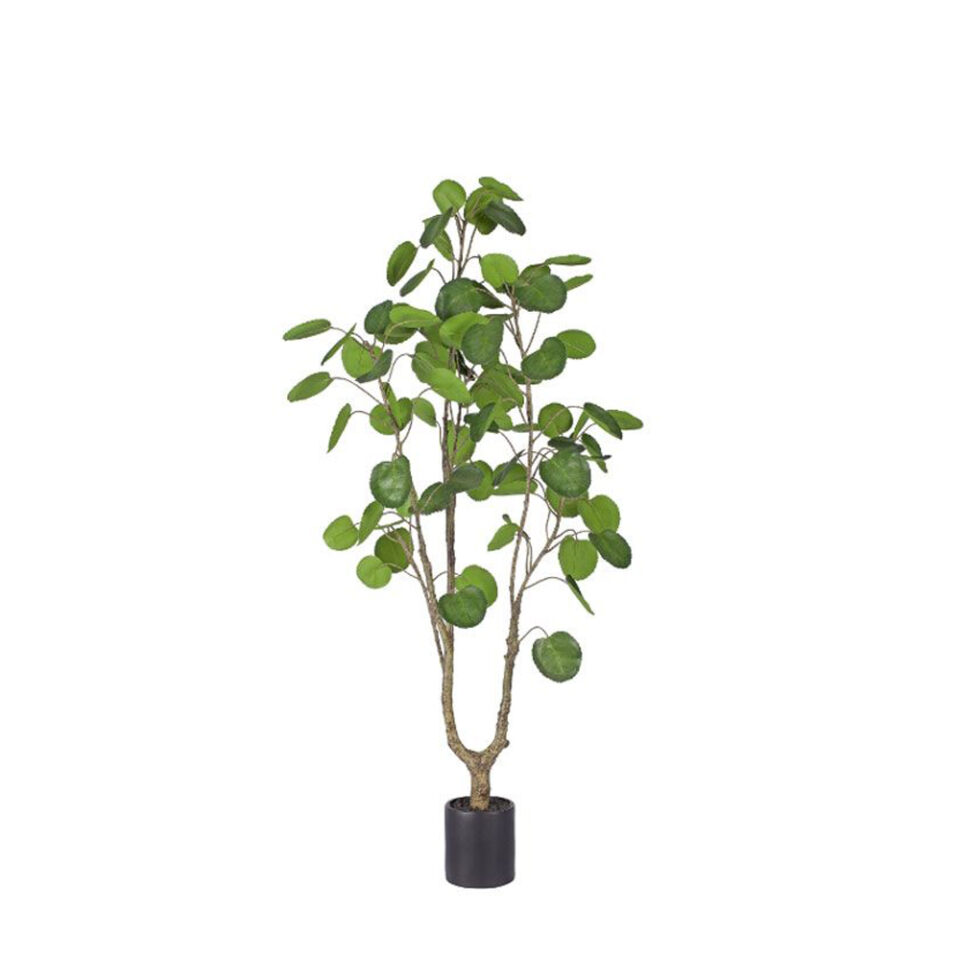 MONEY POCKET ΤΕΧΝΗΤΟ ΦΥΤΟ ΣΕ ΓΛΑΣΤΡΑ PE ΠΡΑΣΙΝΟ H150cm