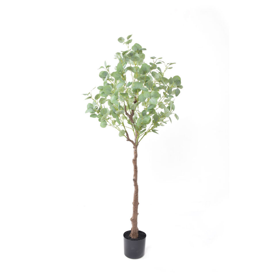 SILVER DOLLAR EUCALYPTUS ΤΕΧΝΗΤΟ ΦΥΤΟ ΣΕ ΓΛΑΣΤΡΑ PE ΜΕΤΑΞΩΤΟ ΥΦΑΣΜΑ ΠΡΑΣΙΝΟ H150cm