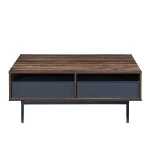 GROOVES COFFEE TABLE 2ΣΥΡΤΑΡΙΑ ΚΑΡΥΔΙ ΓΚΡΙ 110x60x45
