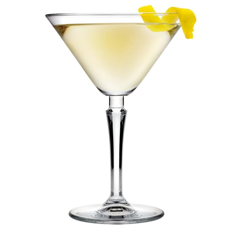 DIS. HUDSON MARTINI 230CC H:16.3CM D:11.4CM PLT/420 FLX6.SHR12