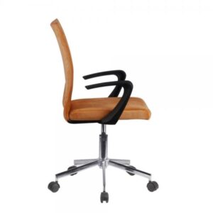 LOTTO ΚΑΡΕΚΛΑ ΓΡΑΦΕΙΟΥ PUMPKIN 54x59xH98cm