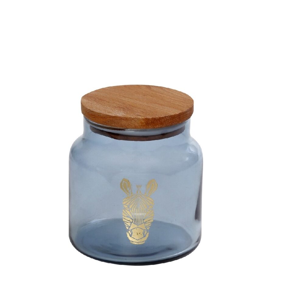 DIS. JUNGLE ZEBRA ΜΠΛΕ ΔΟΧΕΙΟ ΜΕ ΚΑΠΑΚΙ 635ML 10X11EK