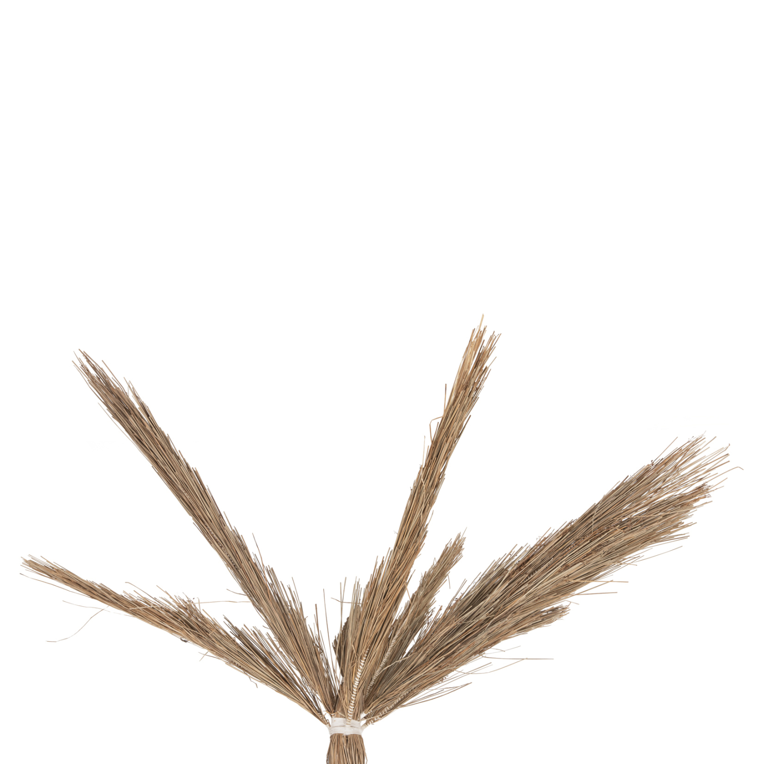 ΔΙΑΚΟΣΜΗΤΙΚΟ ΔΕΝΤΡΟ τ.ΦΟΙΝΙΚΑ ΑΠΟ MENDONG GRASS 310Yεκ.