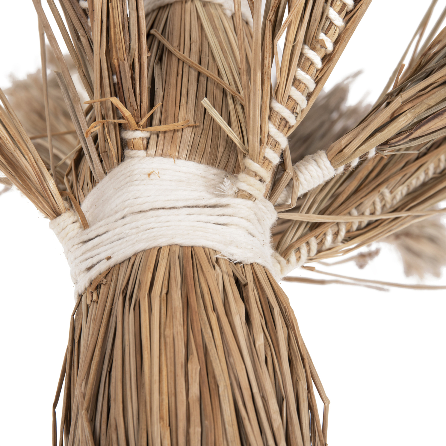 ΔΙΑΚΟΣΜΗΤΙΚΟ ΔΕΝΤΡΟ τ.ΦΟΙΝΙΚΑ ΑΠΟ MENDONG GRASS 310Yεκ.