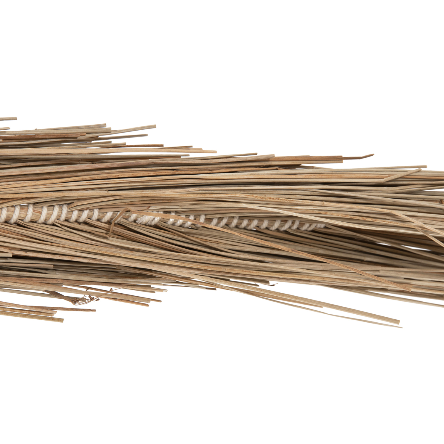 ΔΙΑΚΟΣΜΗΤΙΚΟ ΔΕΝΤΡΟ τ.ΦΟΙΝΙΚΑ ΑΠΟ MENDONG GRASS 310Yεκ.