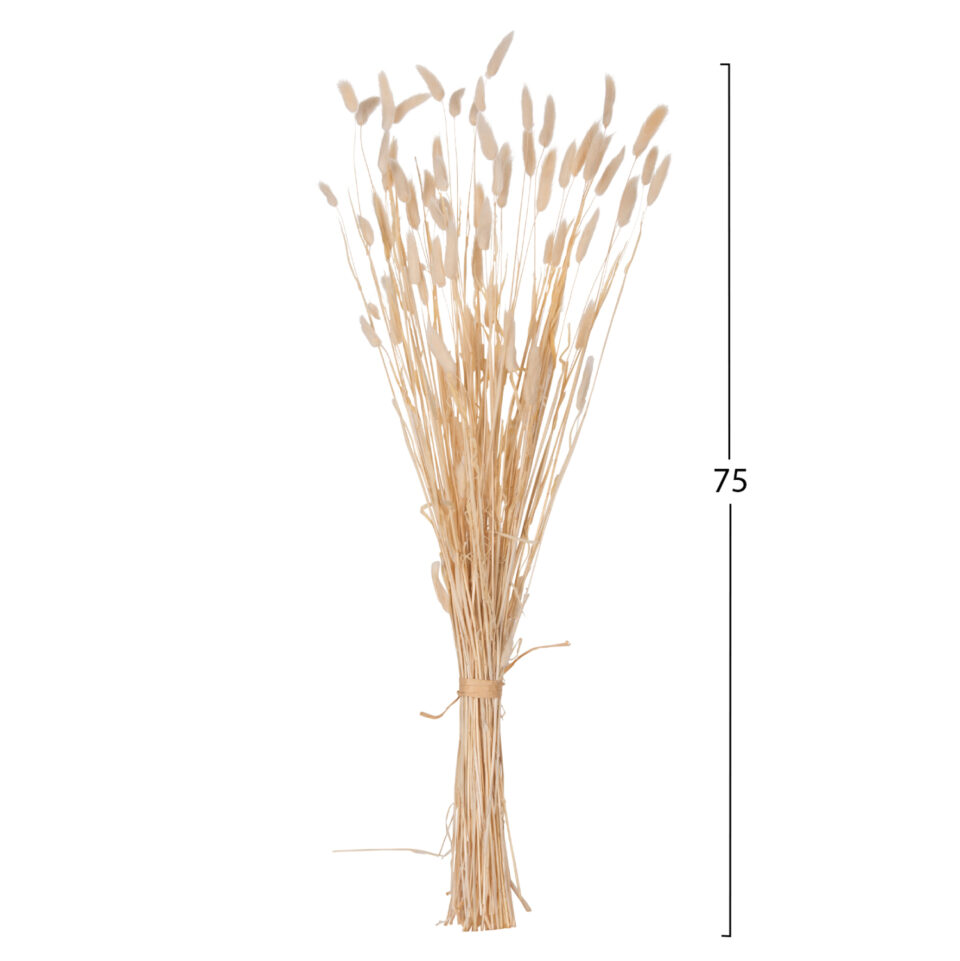 ΔΙΑΚΟΣΜΗΤΙΚΟ ΜΠΟΥΚΕΤΟ ΑΠΟΞΗΡΑΜΕΝΟ RABBIT TAIL- CREAM 50gr 76Υεκ.