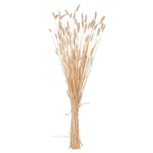 ΔΙΑΚΟΣΜΗΤΙΚΟ ΜΠΟΥΚΕΤΟ ΑΠΟΞΗΡΑΜΕΝΟ RABBIT TAIL- CREAM 50gr 76Υεκ.