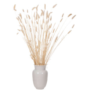 ΔΙΑΚΟΣΜΗΤΙΚΟ ΜΠΟΥΚΕΤΟ ΑΠΟΞΗΡΑΜΕΝΟ RABBIT TAIL- CREAM 50gr 76Υεκ.