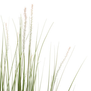 ΔΙΑΚΟΣΜΗΤΙΚΟ ΣΥΝΘΕΤΙΚΟ ΦΥΤΟ BRISTLEGRASS ΣΕ ΓΛΑΣΤΡΑ 173Υεκ.