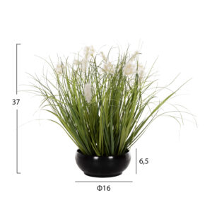 ΔΙΑΚΟΣΜΗΤΙΚΟ ΣΥΝΘΕΤΙΚΟ ΦΥΤΟ GRASS ΣΕ ΓΛΑΣΤΡΑ 37Υεκ.