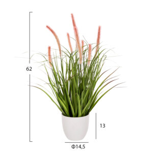 ΔΙΑΚΟΣΜΗΤΙΚΟ ΣΥΝΘΕΤΙΚΟ ΦΥΤΟ BRISTLEGRASS ΣΕ ΓΛΑΣΤΡΑ Φ14,5x13-62Yεκ.