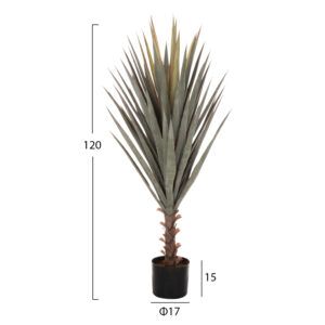 ΔΙΑΚΟΣΜΗΤΙΚΟ ΣΥΝΘΕΤΙΚΟ ΦΥΤΟ SISAL AGAVE ΣΕ ΓΛΑΣΤΡΑ 120Υεκ.