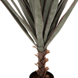ΔΙΑΚΟΣΜΗΤΙΚΟ ΣΥΝΘΕΤΙΚΟ ΦΥΤΟ SISAL AGAVE ΣΕ ΓΛΑΣΤΡΑ 120Υεκ.