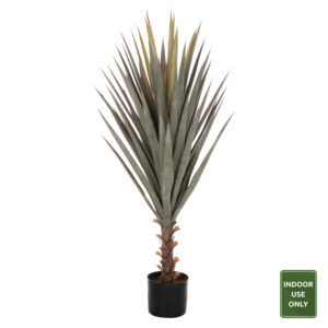 ΔΙΑΚΟΣΜΗΤΙΚΟ ΣΥΝΘΕΤΙΚΟ ΦΥΤΟ SISAL AGAVE ΣΕ ΓΛΑΣΤΡΑ 120Υεκ.