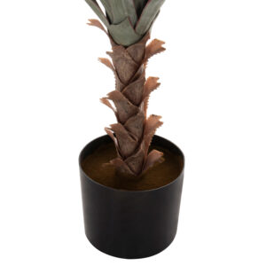 ΔΙΑΚΟΣΜΗΤΙΚΟ ΣΥΝΘΕΤΙΚΟ ΦΥΤΟ SISAL AGAVE ΣΕ ΓΛΑΣΤΡΑ 120Υεκ.