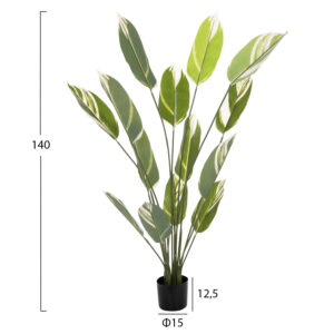 ΔΙΑΚΟΣΜΗΤΙΚΟ ΣΥΝΘΕΤΙΚΟ ΦΥΤΟ CALATHEA ΣΕ ΓΛΑΣΤΡΑ 140Υεκ.