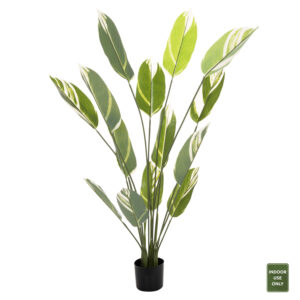 ΔΙΑΚΟΣΜΗΤΙΚΟ ΣΥΝΘΕΤΙΚΟ ΦΥΤΟ CALATHEA ΣΕ ΓΛΑΣΤΡΑ 140Υεκ.