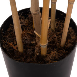 ΔΙΑΚΟΣΜΗΤΙΚΟ ΣΥΝΘΕΤΙΚΟ ΦΥΤΟ BAMBOO ΣΕ ΓΛΑΣΤΡΑ 20x95x180Υεκ.