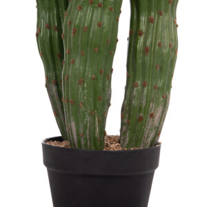 ΔΙΑΚΟΣΜΗΤΙΚΟ ΣΥΝΘΕΤΙΚΟ ΦΥΤΟ ΚΑΚΤΟΣ ΜΕ ΓΛΑΣΤΡΑ Φ17,5x115Υεκ.