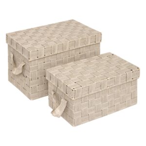 ΚΑΛΑΘΙ ΑΠΟΘΗΚΕΥΣΗΣ POLYESTER ΜΠΕΖ 22x21,2x35cm