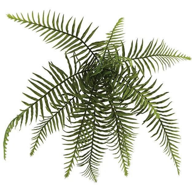 ΡΙΖΑ ΚΡΕΜΑΣΤΗ ΦΤΕΡΗ Φ60xY35cm