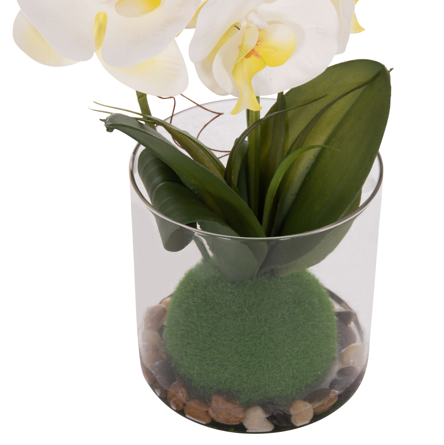 ΔΙΑΚΟΣΜΗΤΙΚΟ ΣΥΝΘΕΤΙΚΟ ΦΥΤΟ ΛΟΥΛΟΥΔΙ PHALAENOPSIS ΣΕ ΓΥΑΛΙΝΟ ΒΑΖΟ 12x24x30Υεκ