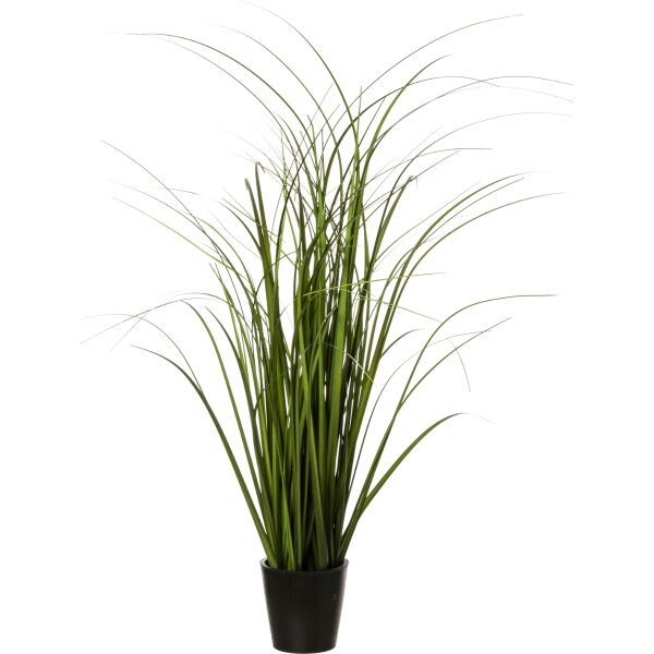 GRASS, ΦΥΤΟ ΣΕ ΓΛΑΣΤΡΑ PVC ΜΑΥΡΗ D9.5xH66cm 1